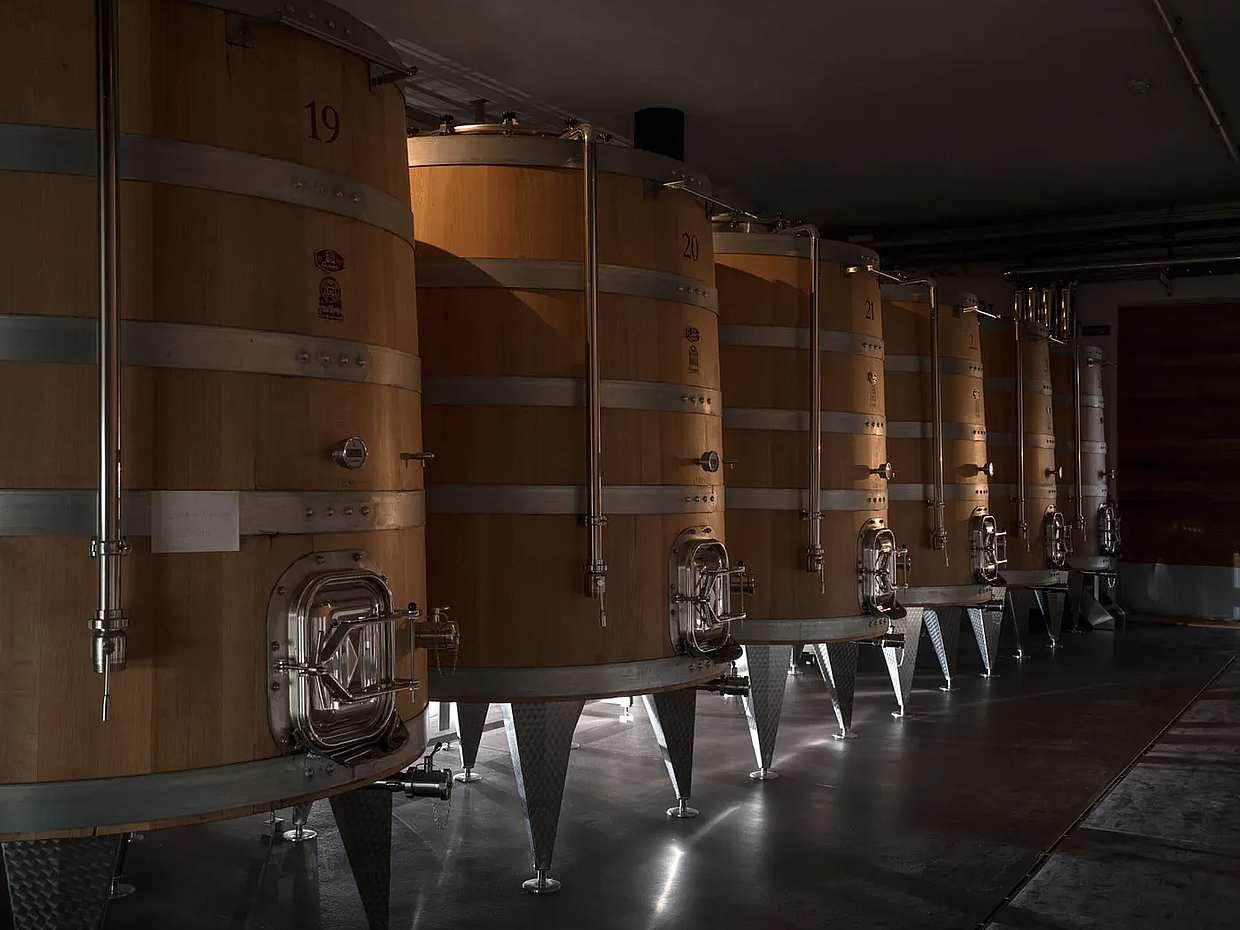 Exclusive Val d'Orcia Tour from Florence - A Cinematic Universe for Wine Lovers in Italy, photo 5