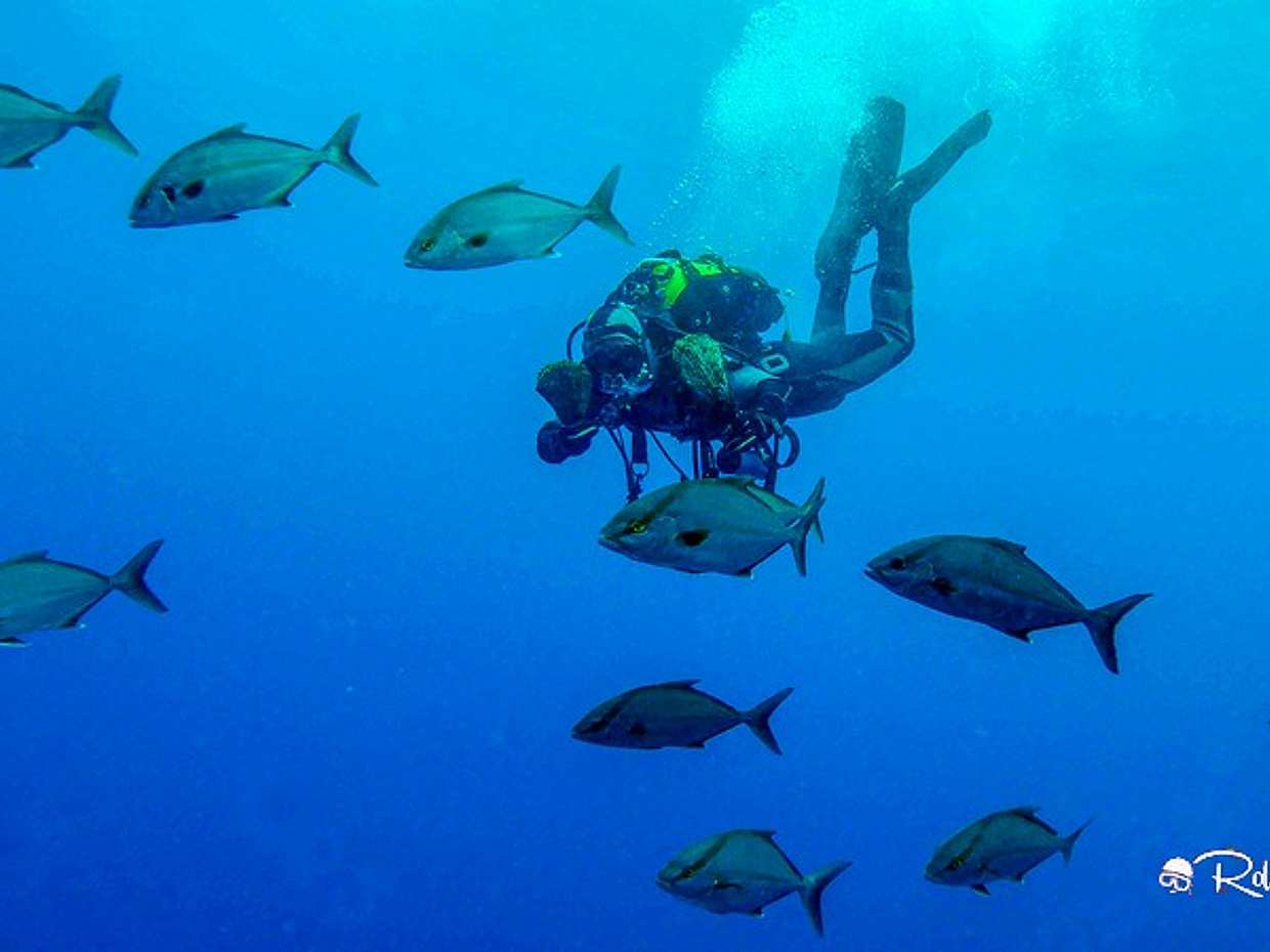 Azores: Diving in Terceira Island in Portugal, photo 2
