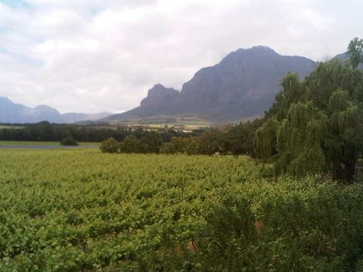 Private Cape Winelands Tour from Cape Town