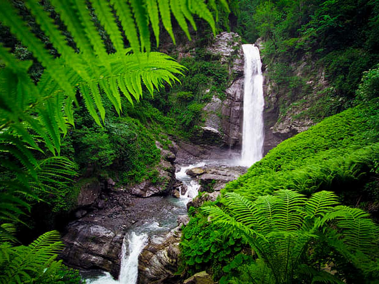 Lagodekhi Adventure: Hiking Tour from Tbilisi in Georgia