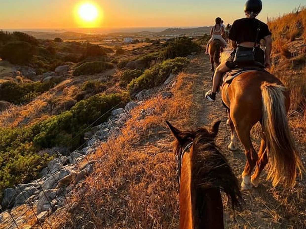 "Golden Hour Gallop: การขี่ม้ายามเย็นในพารอส, กรีซ"