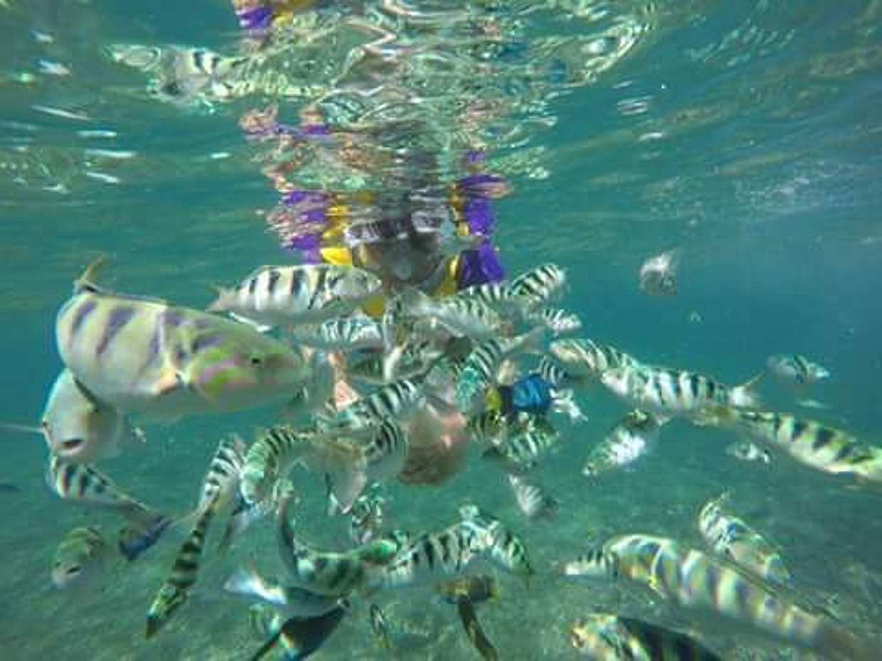 Blue Lagoon Snorkeling