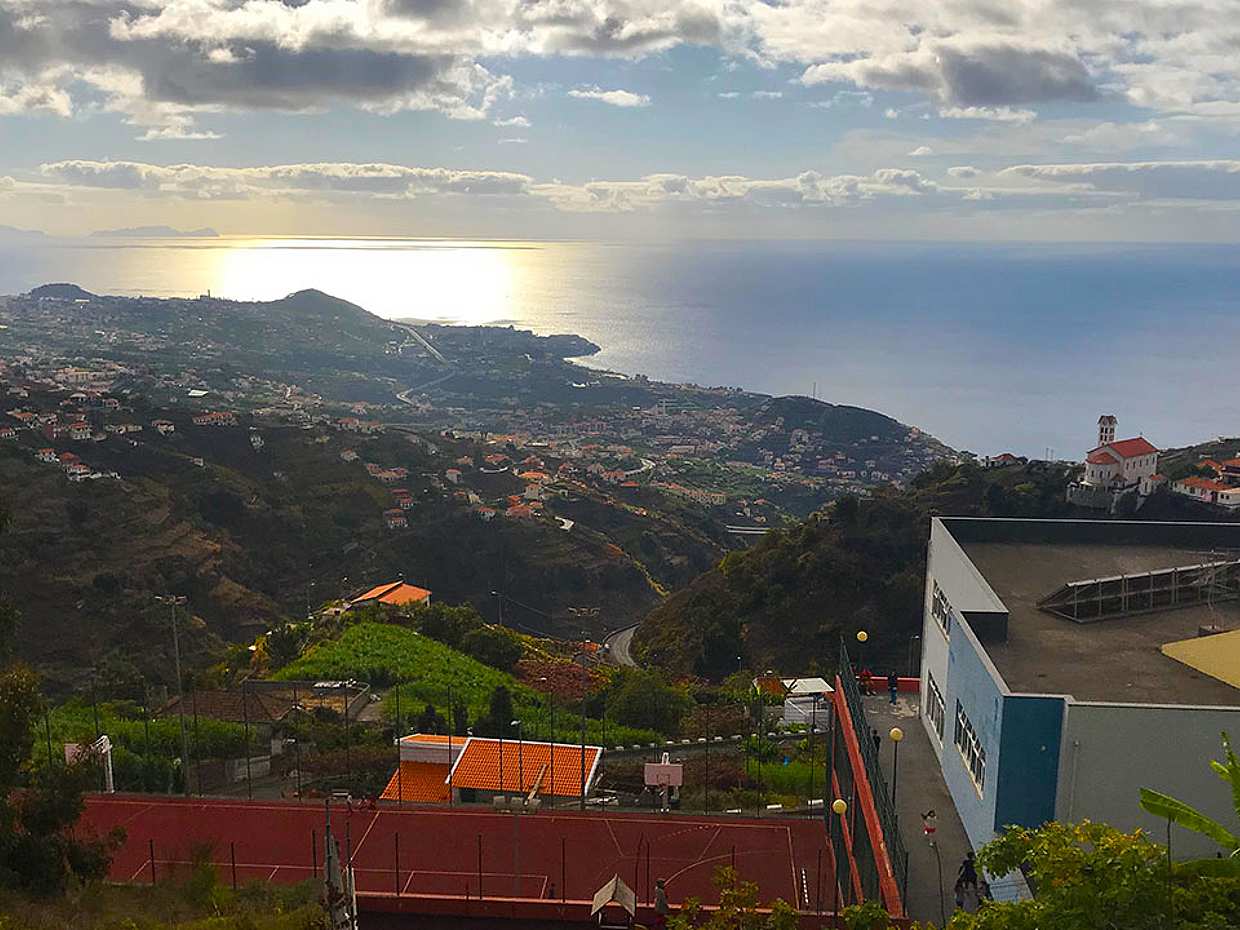 Northern Levada Half-day Walking Tour in Madeira, Portugal, photo 4