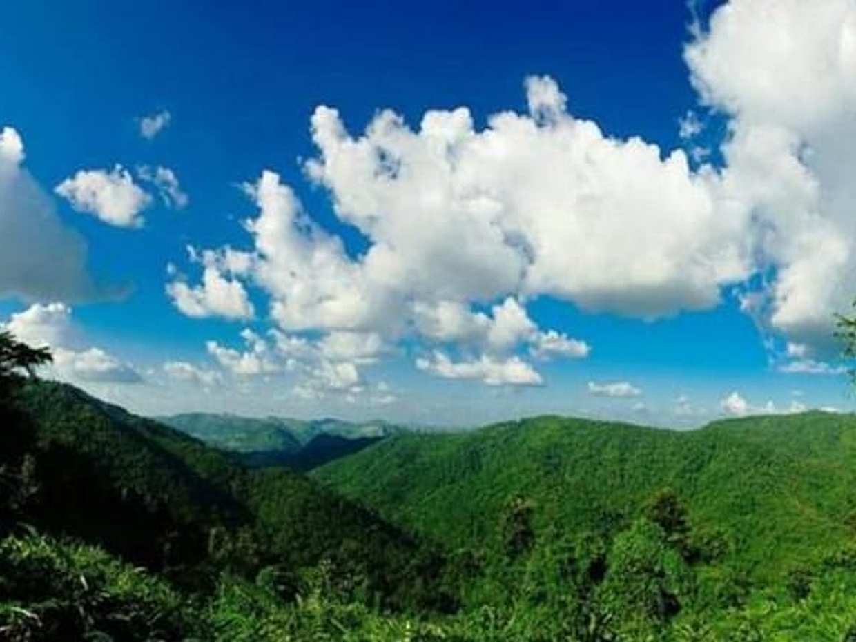 UNESCO Khao Yai National Park Adventure: Hiking & Waterfalls, photo 4