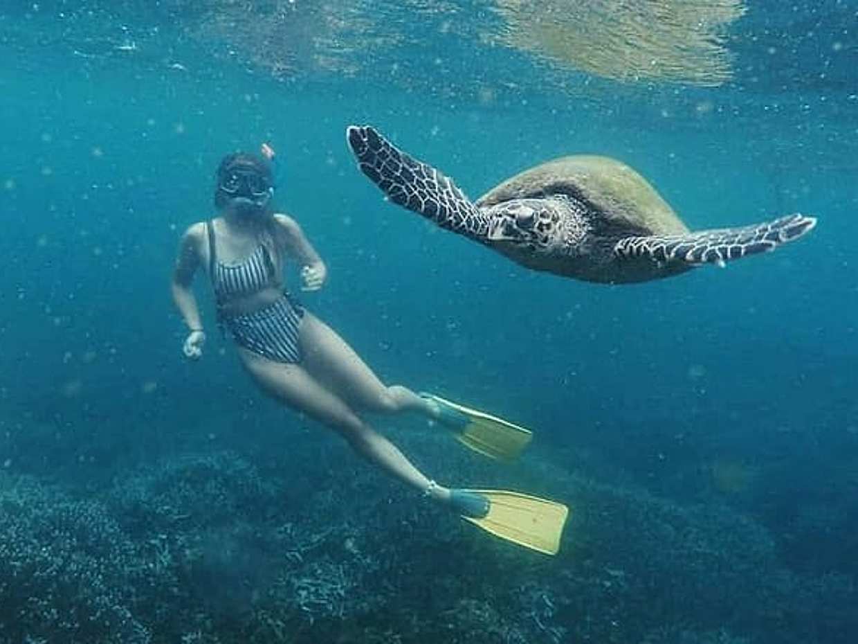 Snorkeling with Turtles in Mirissa