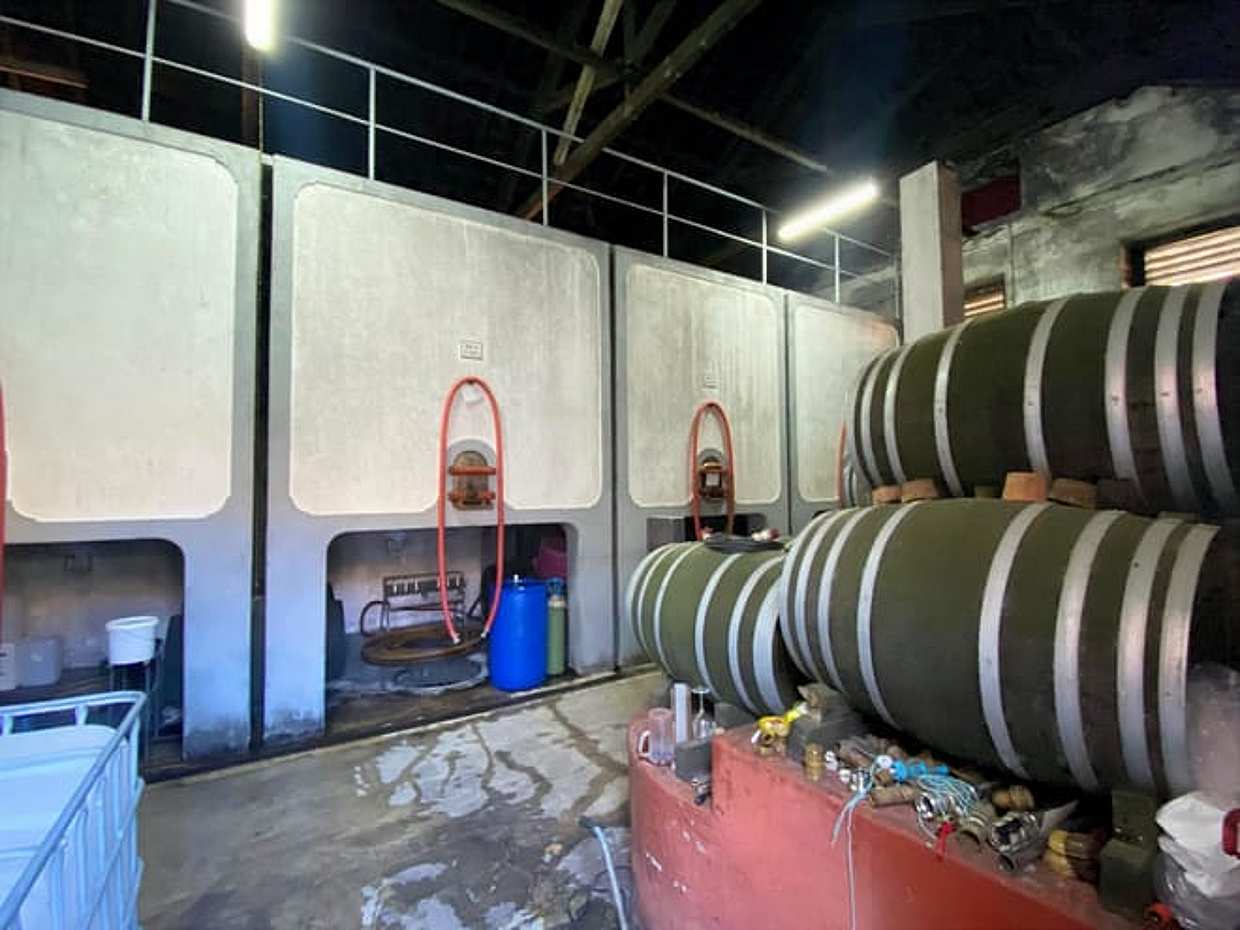 "PARCEIROS - Sabor da Tradição: Azeite, Vinho e Peixe em Portugal, Lisboa", photo 2