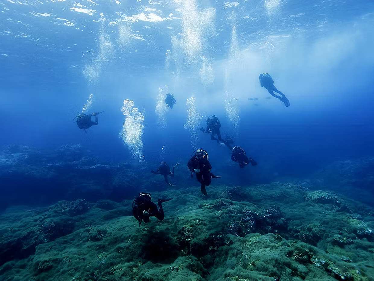 Become a Certified Open Water Diver from Azores - Santa Maria Island  - Your Underwater Adventure Starts Here! in Portugal