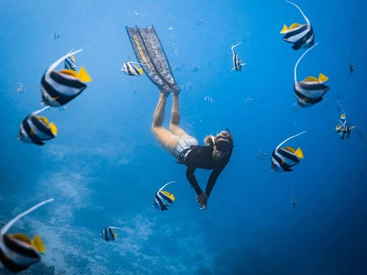 Private Los Cabos snorkeling tour to Chileno bay and Santa Maria cove