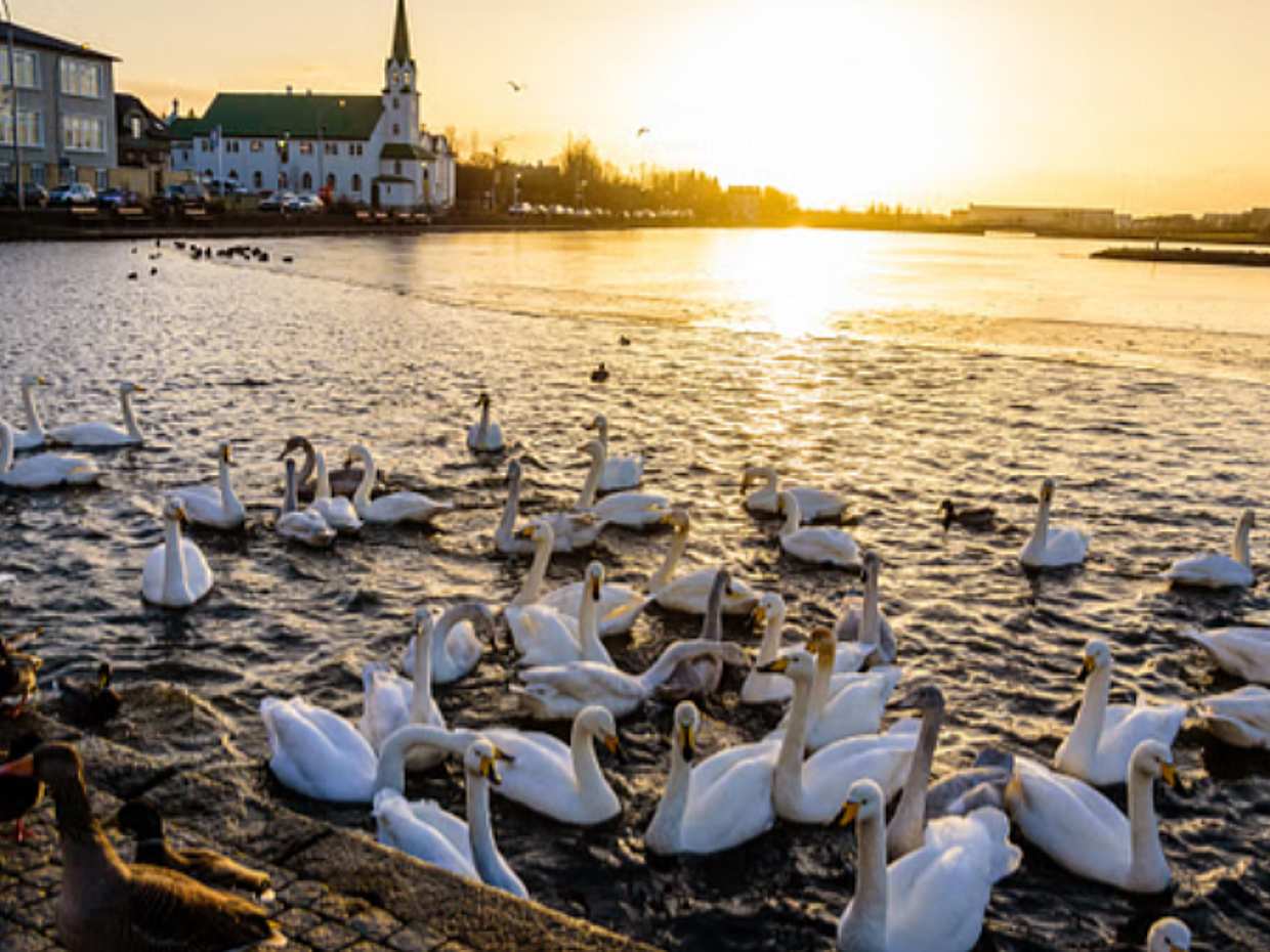 Soukromá 4hodinová projížďka Reykjavíkem v Islandu
, photo 4