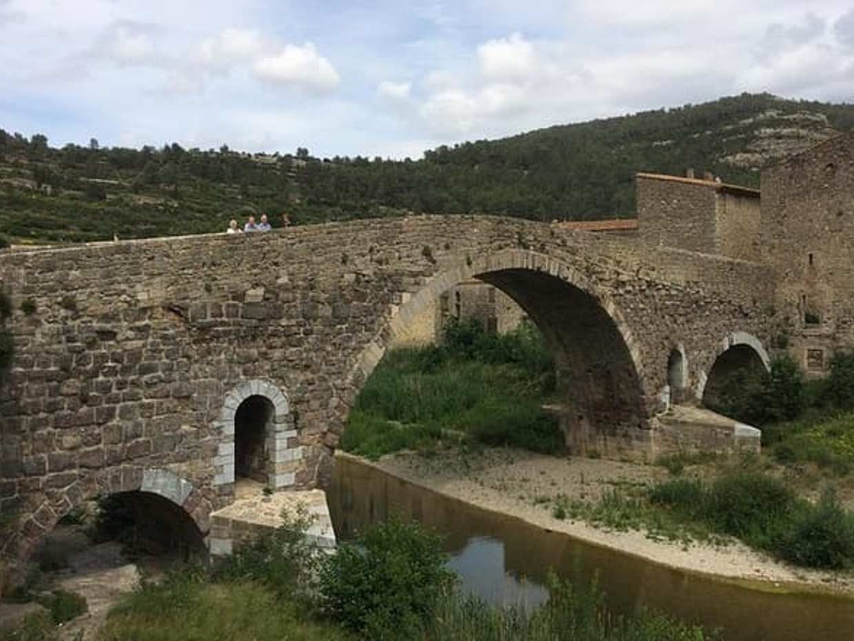 Day Tour to Lagrasse village and Fontfroide Abbey.Private tour from Carcassonne., photo 3