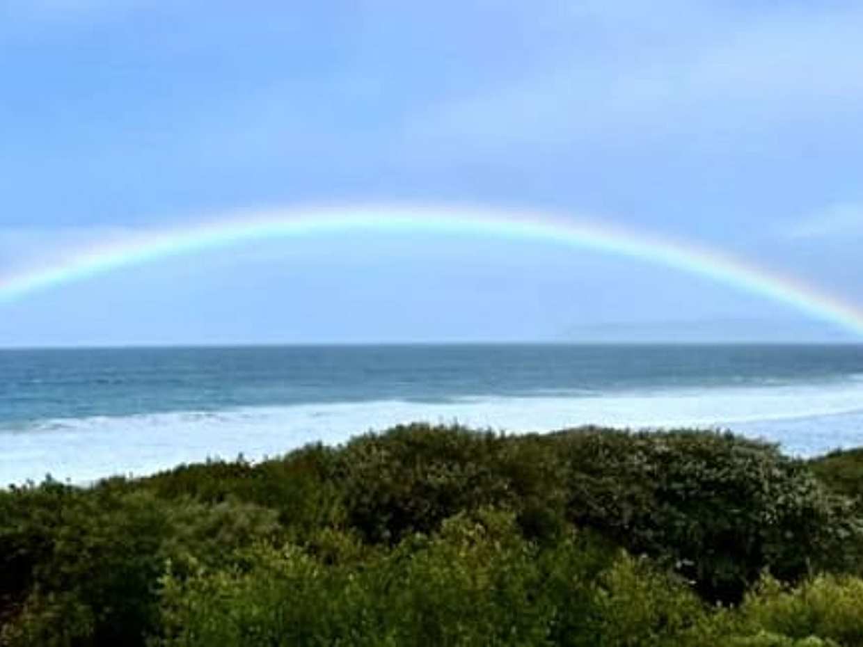 Great OCEAN Road PRIVATE LUXURY Day Tour, photo 4