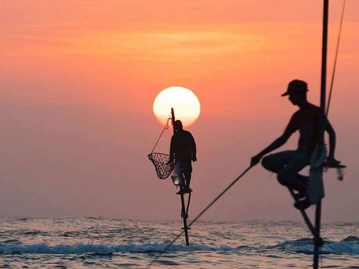 Galle One Day Tour in Sri Lanka, Colombo, photo 3