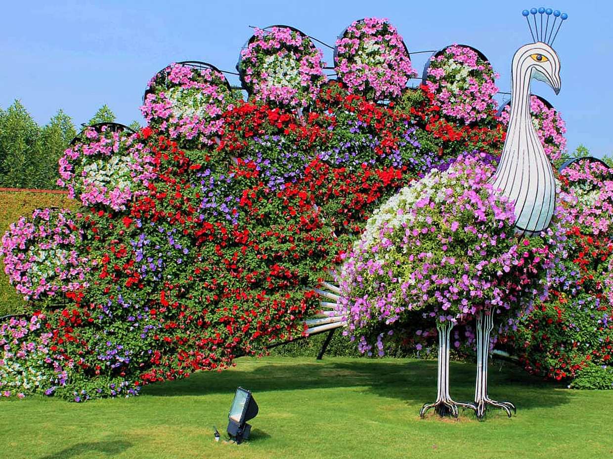 Tickets para el Jardín de los Milagros de Dubái en los Emiratos Árabes Unidos