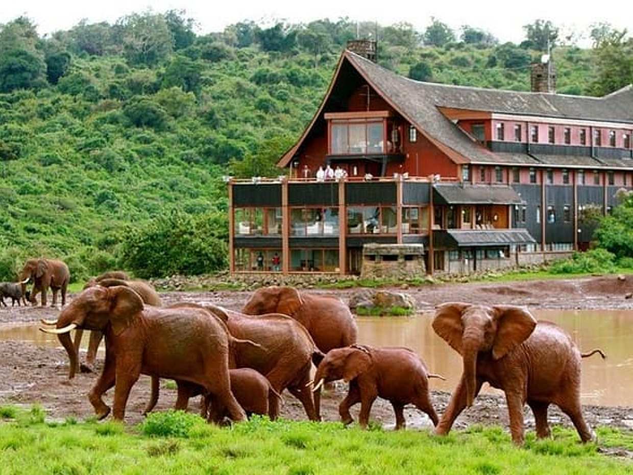 Aberdares National Park Luxury Lodge Safari 2days 1 Night Tour