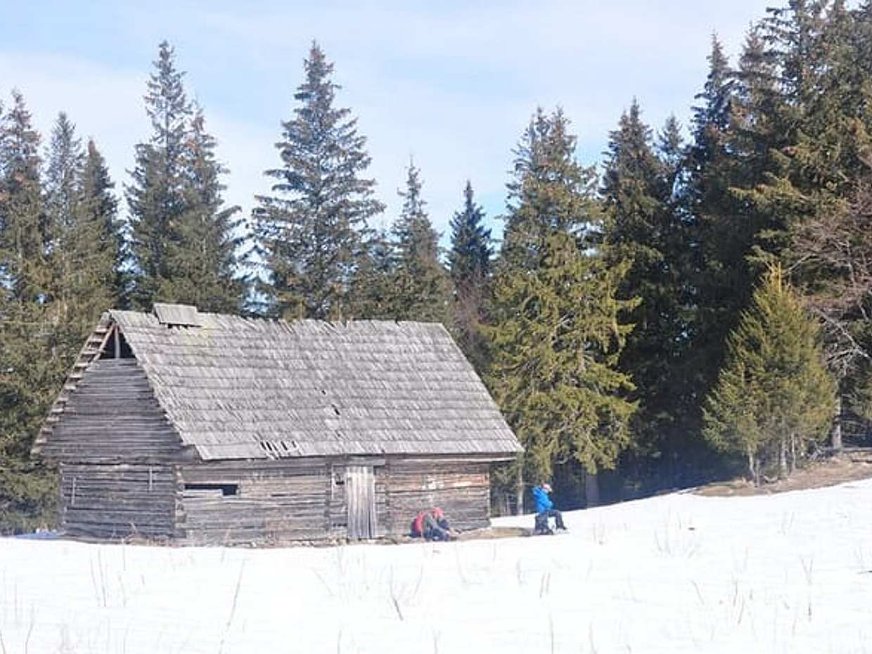 Procházka divočinou – Soukromá fotografická prohlídka v Rumunsku, Brašov, photo 3