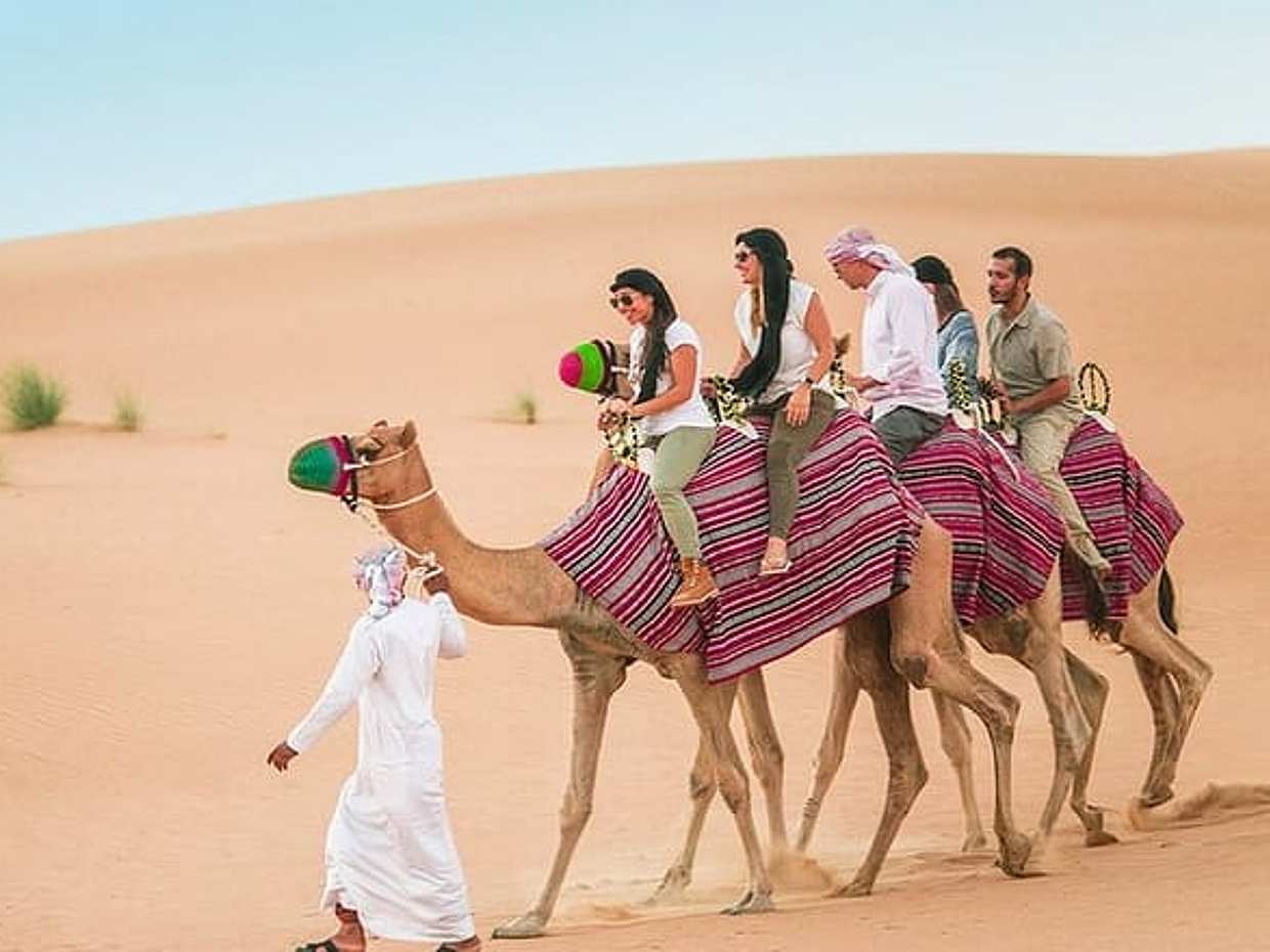 Camel Trekking In Abu Dhabi with Transfer, Fun and More, photo 3