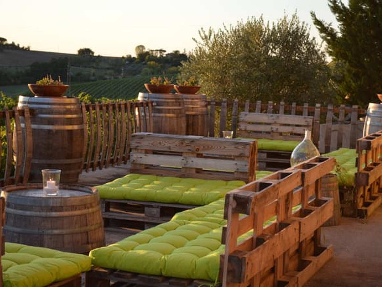 Rimini: Wine Experience – Guided Cellar & Vineyard Tour with 5 DOC Wines, photo 3