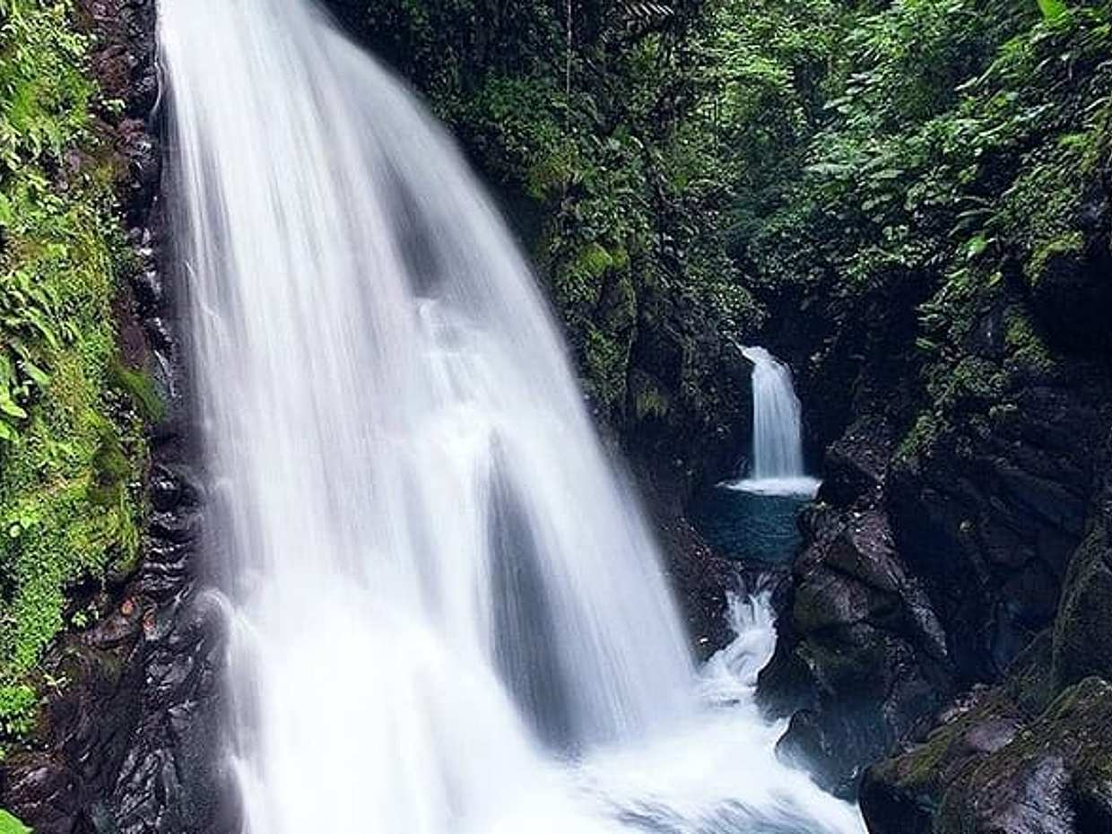 La Paz Waterfall Gardens and Wildlife Refuge Tour from San Jose