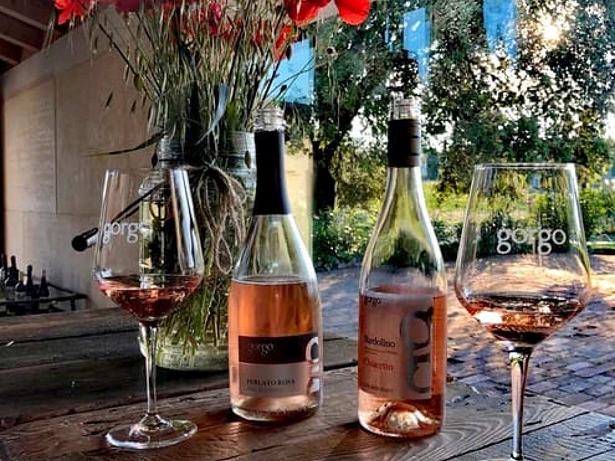 Tour and tasting of 3 organic wines near Custoza