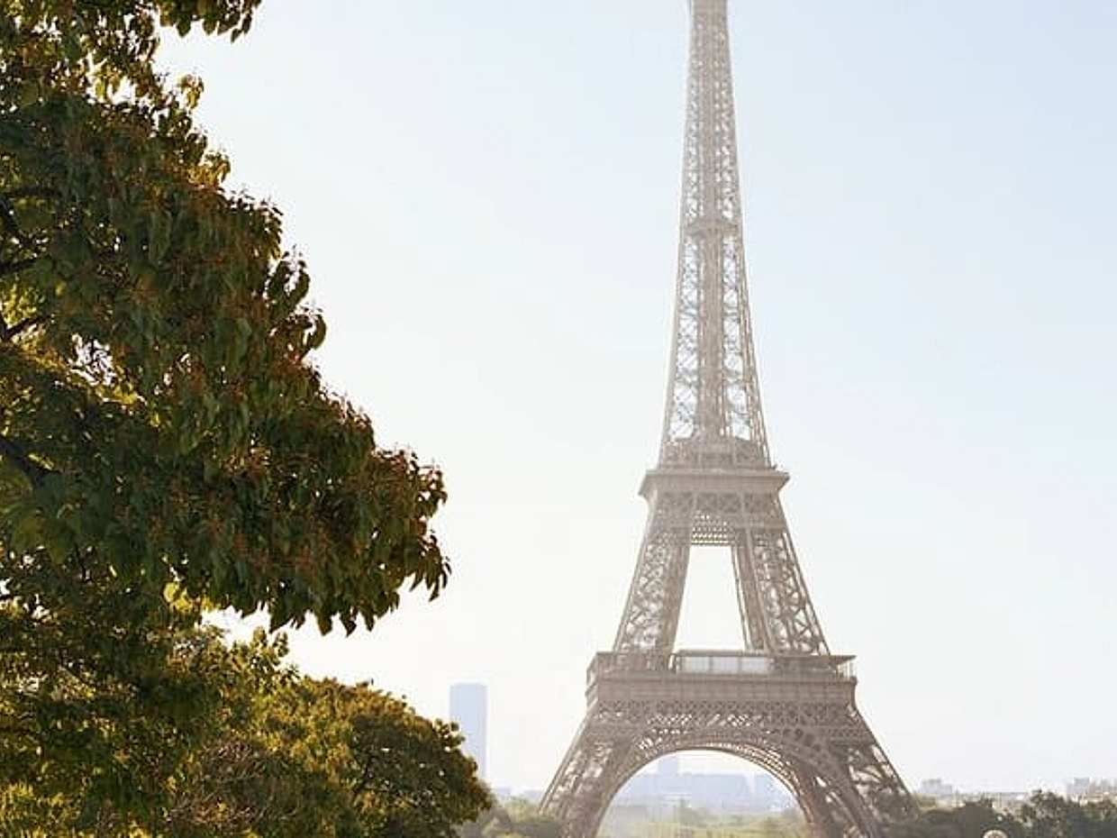 Eiffel Tower and Arc de Triomphe Private Tour, photo 5