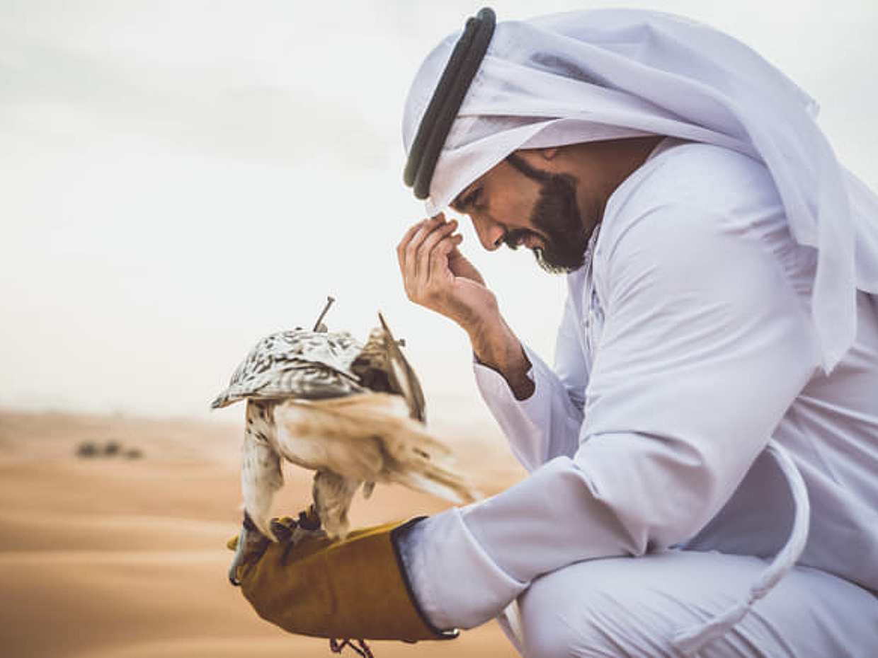 8 Ore | Tour Privato | Combo: Tour della città di mezza giornata + Safari nel deserto in Qatar, Doha, photo 2