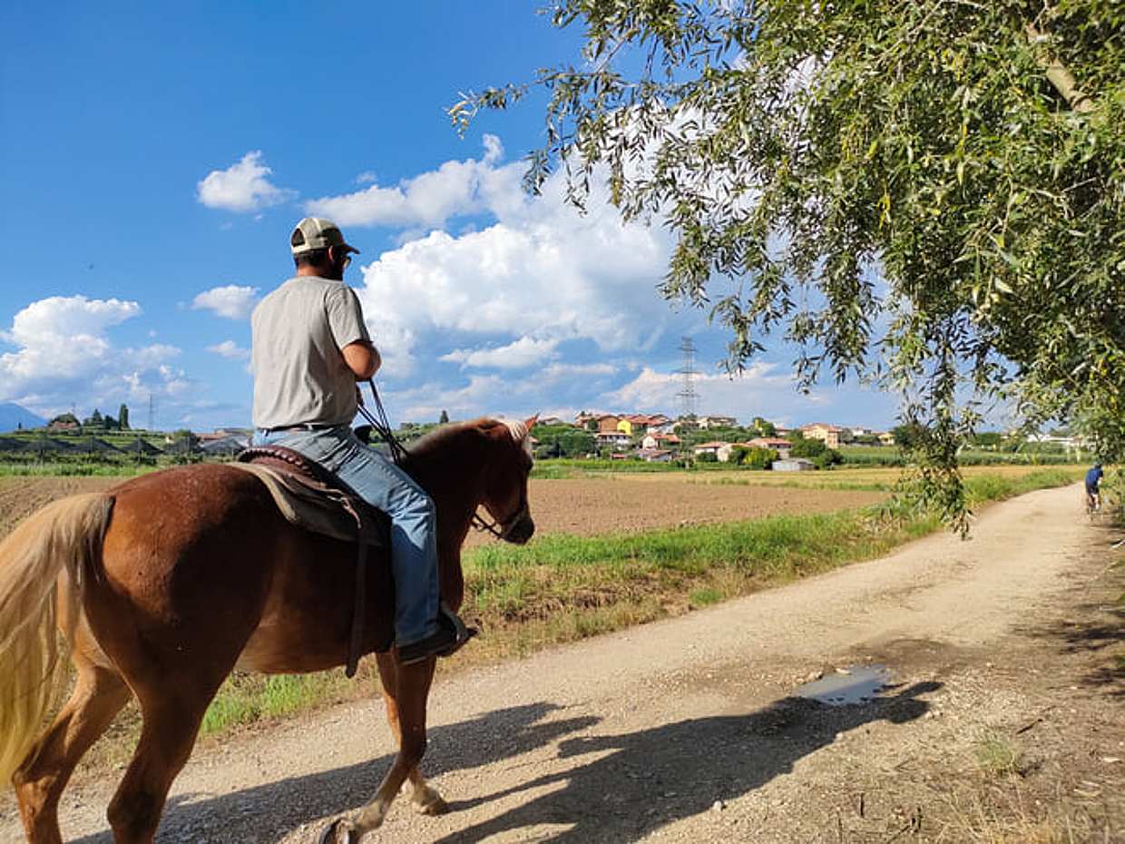 2 hours Horseback Ride in Lake Garda countryside, photo 4