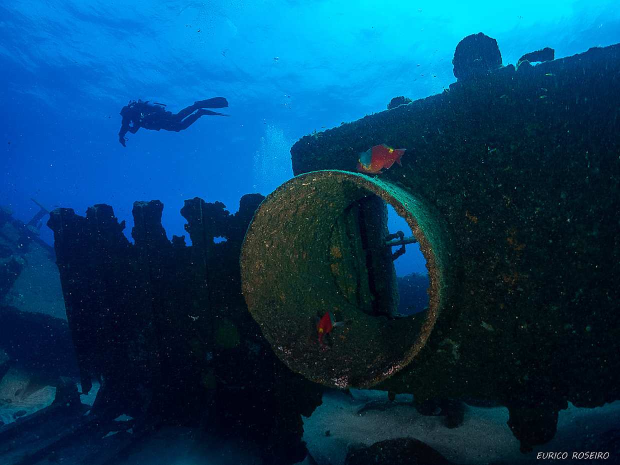 Azores: Buceo en la Isla de São Miguel en Portugal
, photo 5