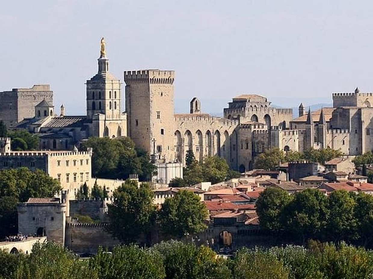 Full private day Avignon Chateuneuf du pape wine tasting