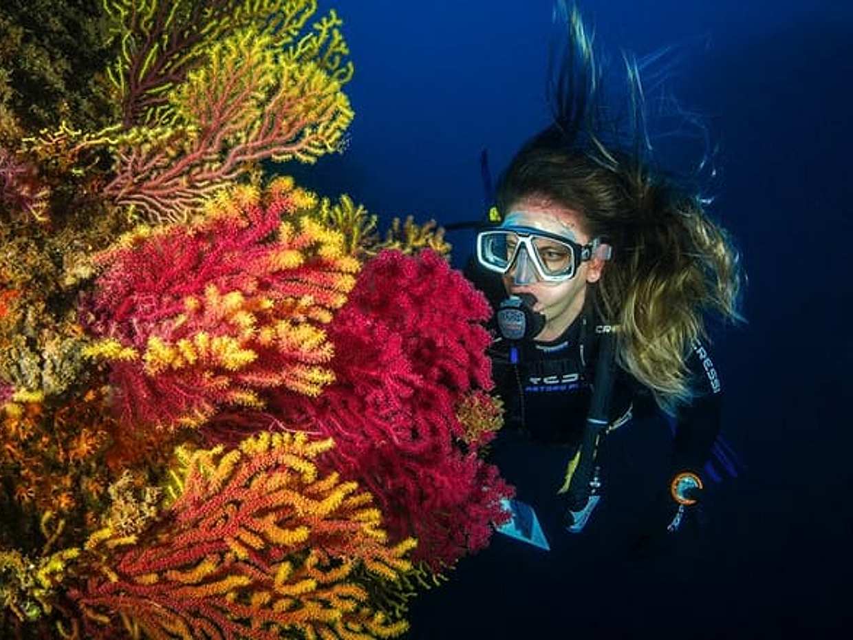 "Aventure de plongée sous-marine à Dubaï aux Émirats Arabes Unis", photo 3