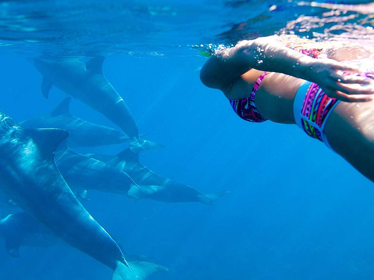 Swimming with Dolphins Tour in Zanzibar in Tanzania, photo 2