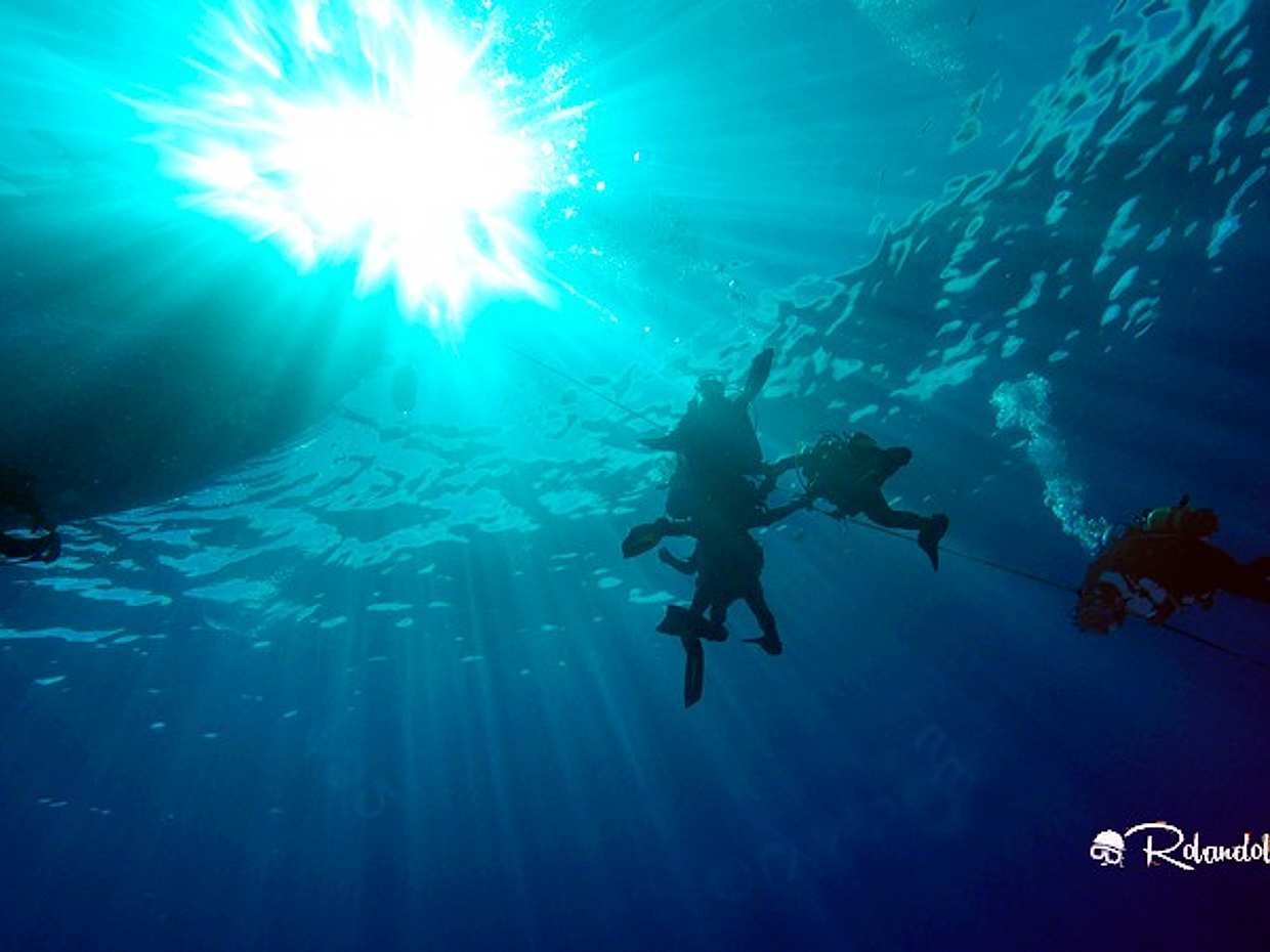Azores: Diving in Terceira Island in Portugal, photo 3