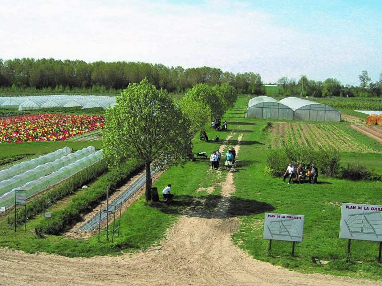 Groenten en fruit plukken in Parijs. Gastronomische Privé Tour