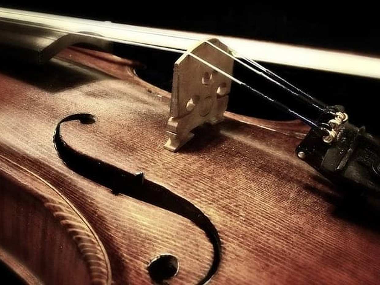 Musical aperitif. Concert and tasting of local products, photo 5