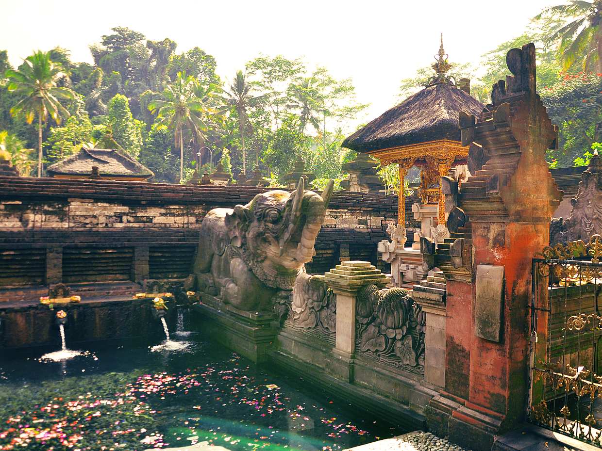 Best of Bali Jungle Swing with Ubud Sightseeing Tour, Indonesia, photo 4