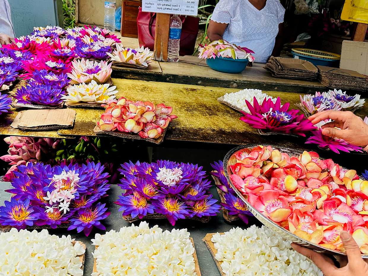One Day Tour to Kandy in Sri Lanka, Colombo, photo 2