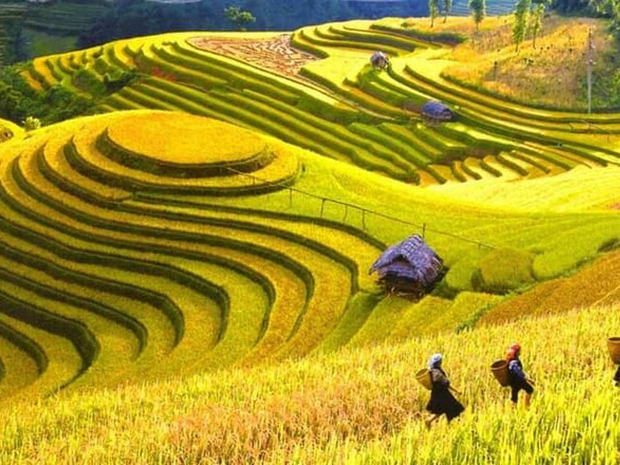 1 Day Sapa Tour Explore Y Linh Ho And Lao Chai And Ta Van Village, Vietnam, photo 2