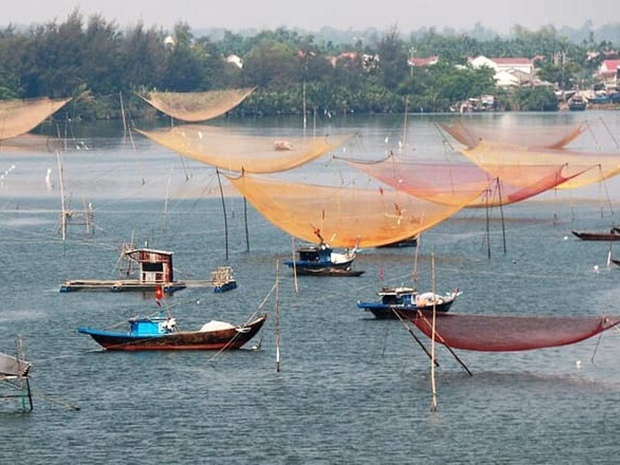 Eco-tour met mandenboot en kookcursus in Vietnam, Hoi An, photo 5