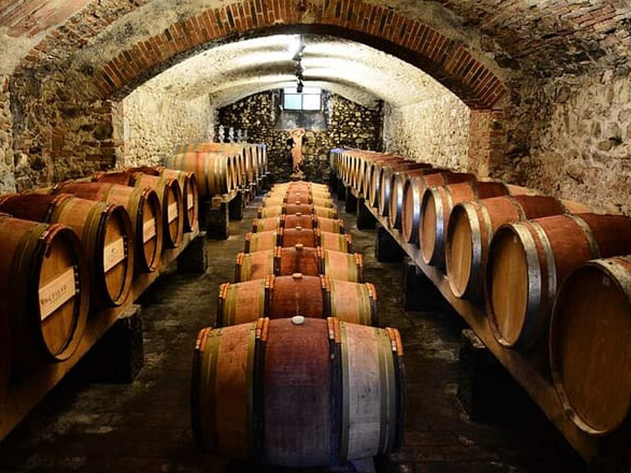 Exclusive Private Chianti Classico Experience Day Trip from Florence