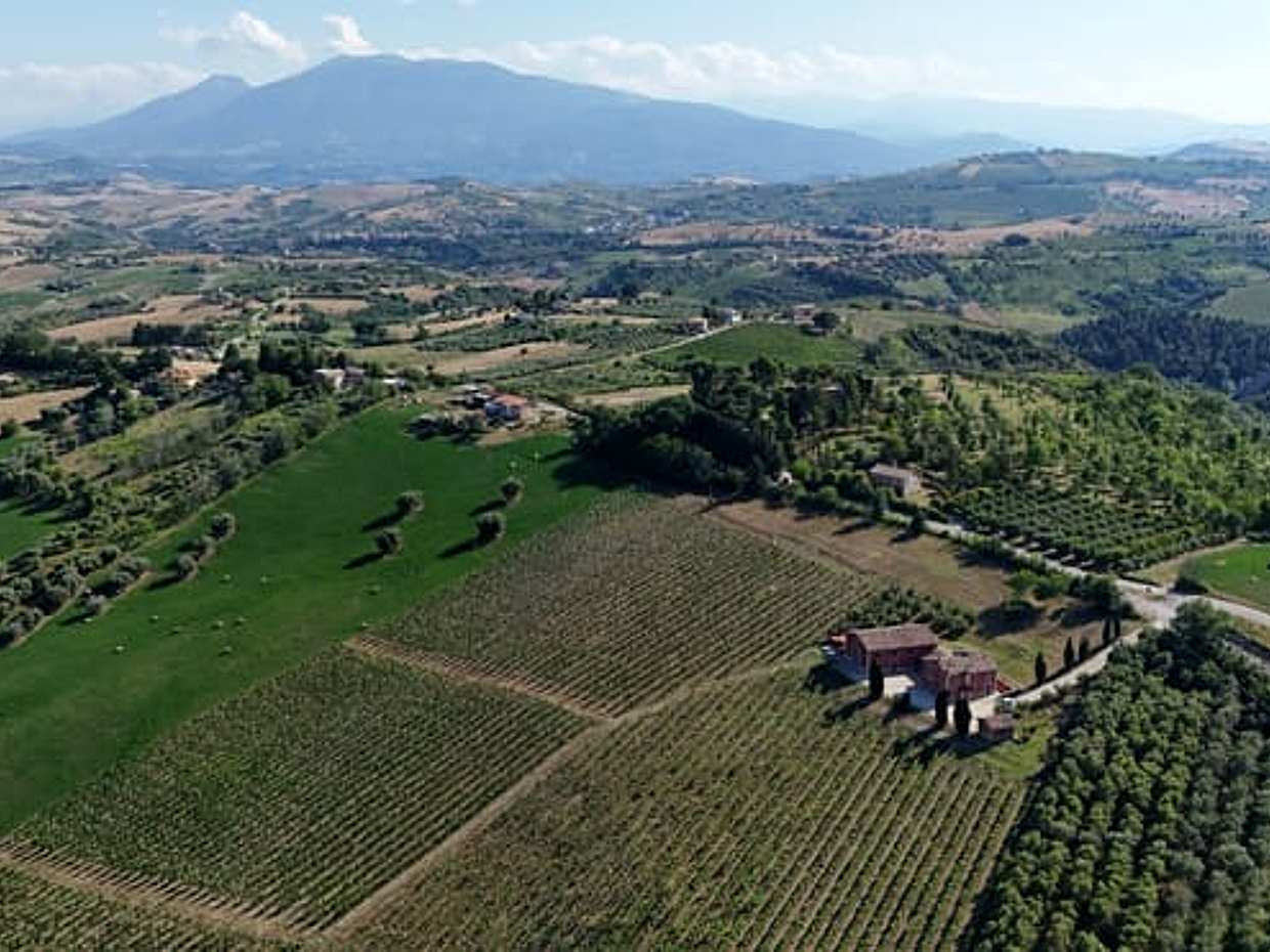 Marche: Tasting and Tour of Local Wines and Tastes at Cantina D'Erasmo, photo 2
