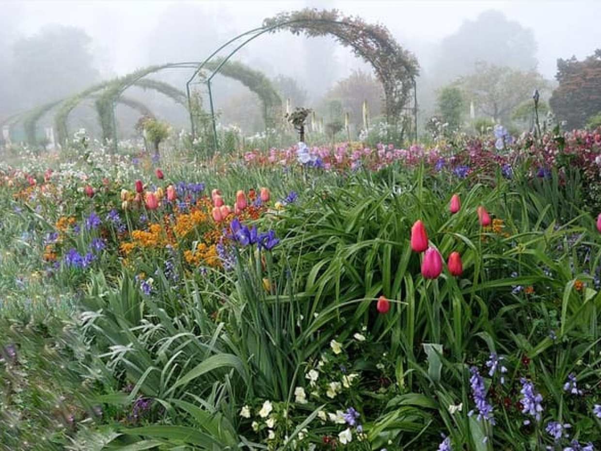 Private Full day Trip to Giverny from Paris with hotel Pick up, photo 5