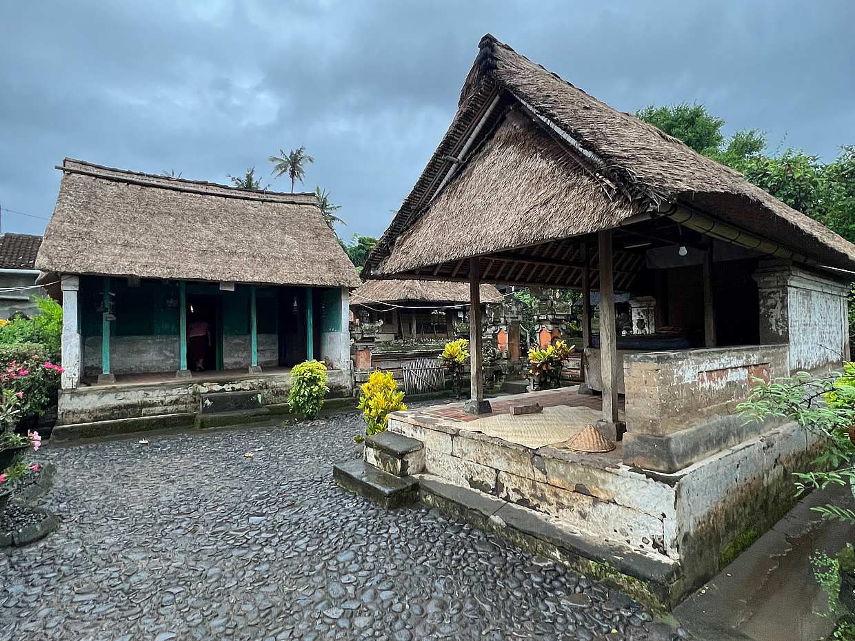 Ubud Sightseeing | balinese traditional house & holy water temple, photo 4
