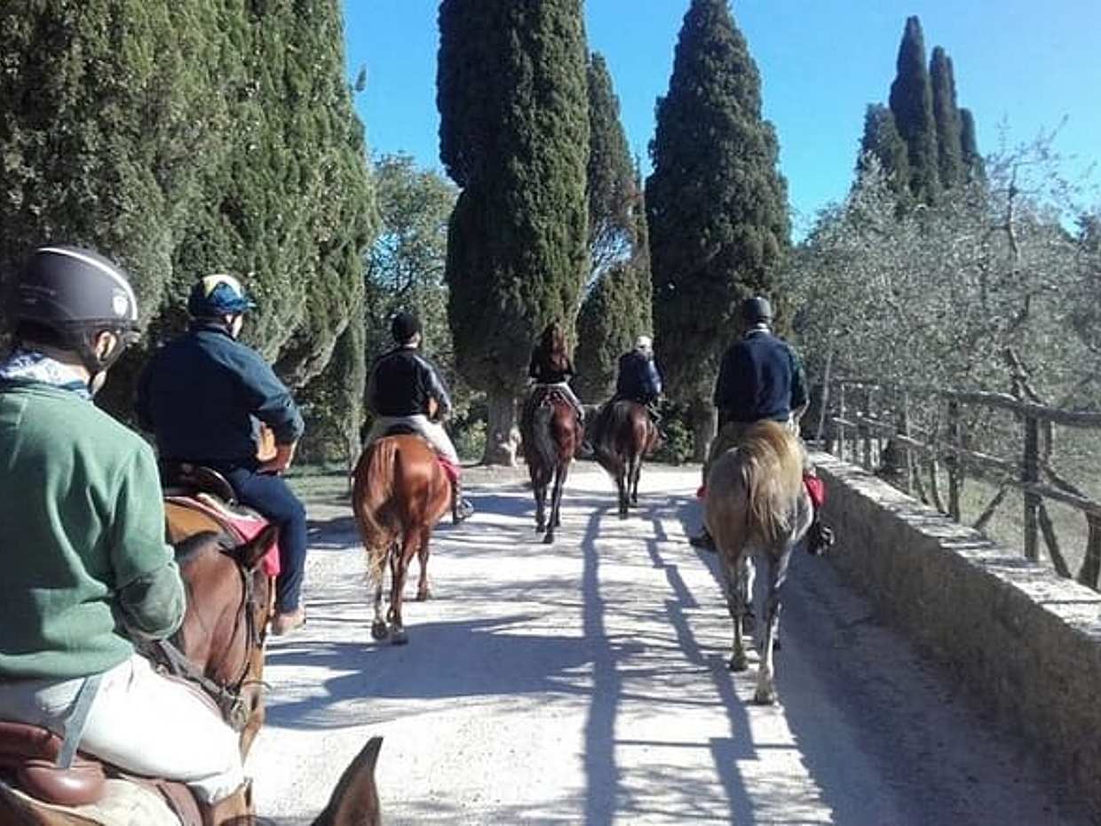 Exclusive Private Chianti Horseback Riding & Wine Tasting Experience from Florence, photo 5