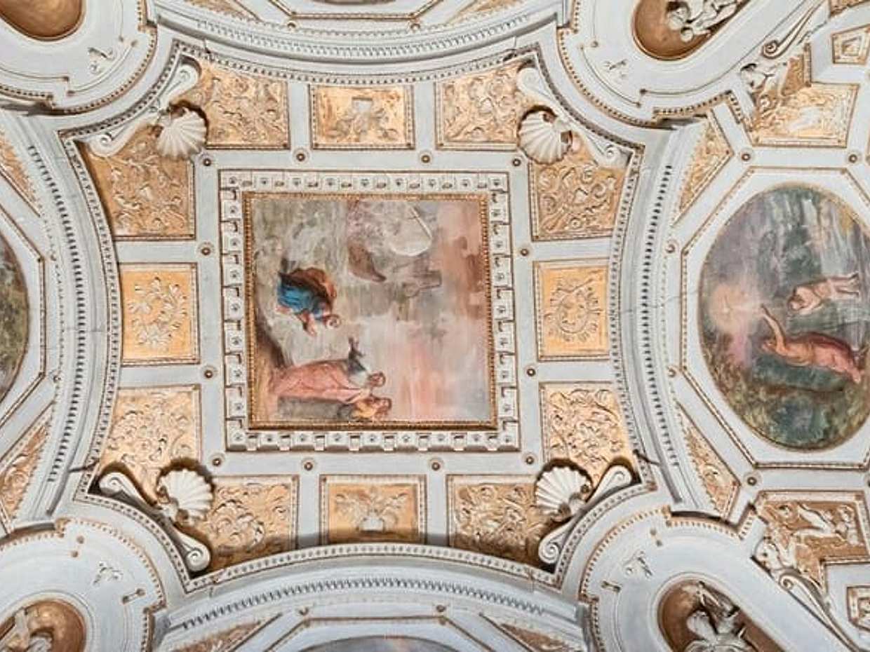 Vatican Museum and St. Peter's Square Tour with Port Pick up, photo 5