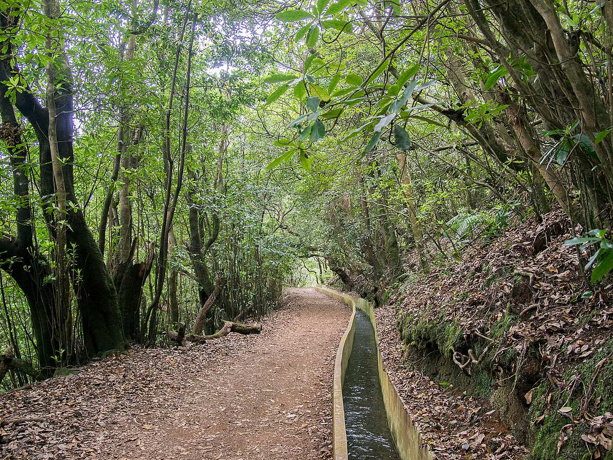 Ribeiro Frio, Portela Ganztägige Wanderung in Portugal, Funchal
, photo 3
