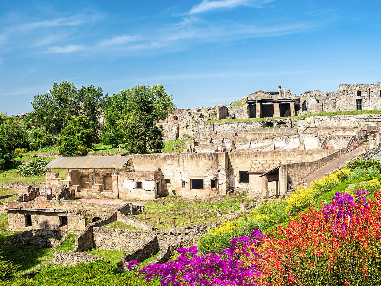 Pompeii, Sorrento and Positano Private Tour from Naples (1-2 persons) in Italy, photo 2