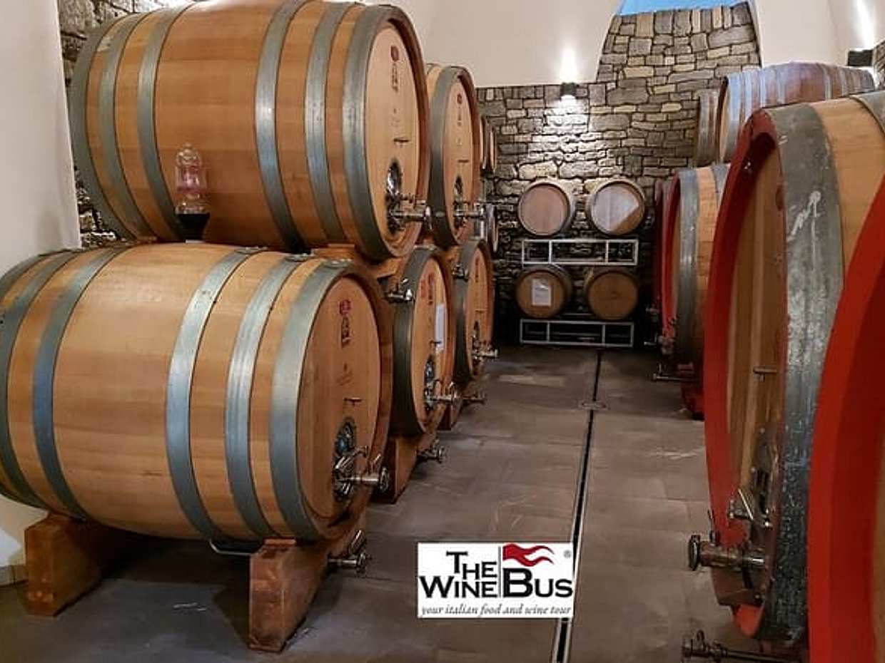 Private Irpinia Wine Tour from NAPLES with sommelier