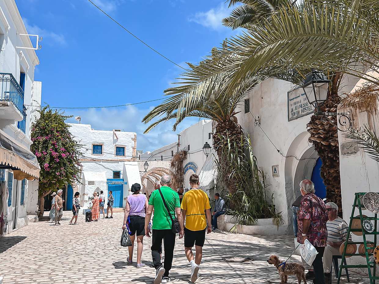 Half-Day Cultural Exploration of Djerba: A Journey Through History and Art in Tunisia, Djerba Midun