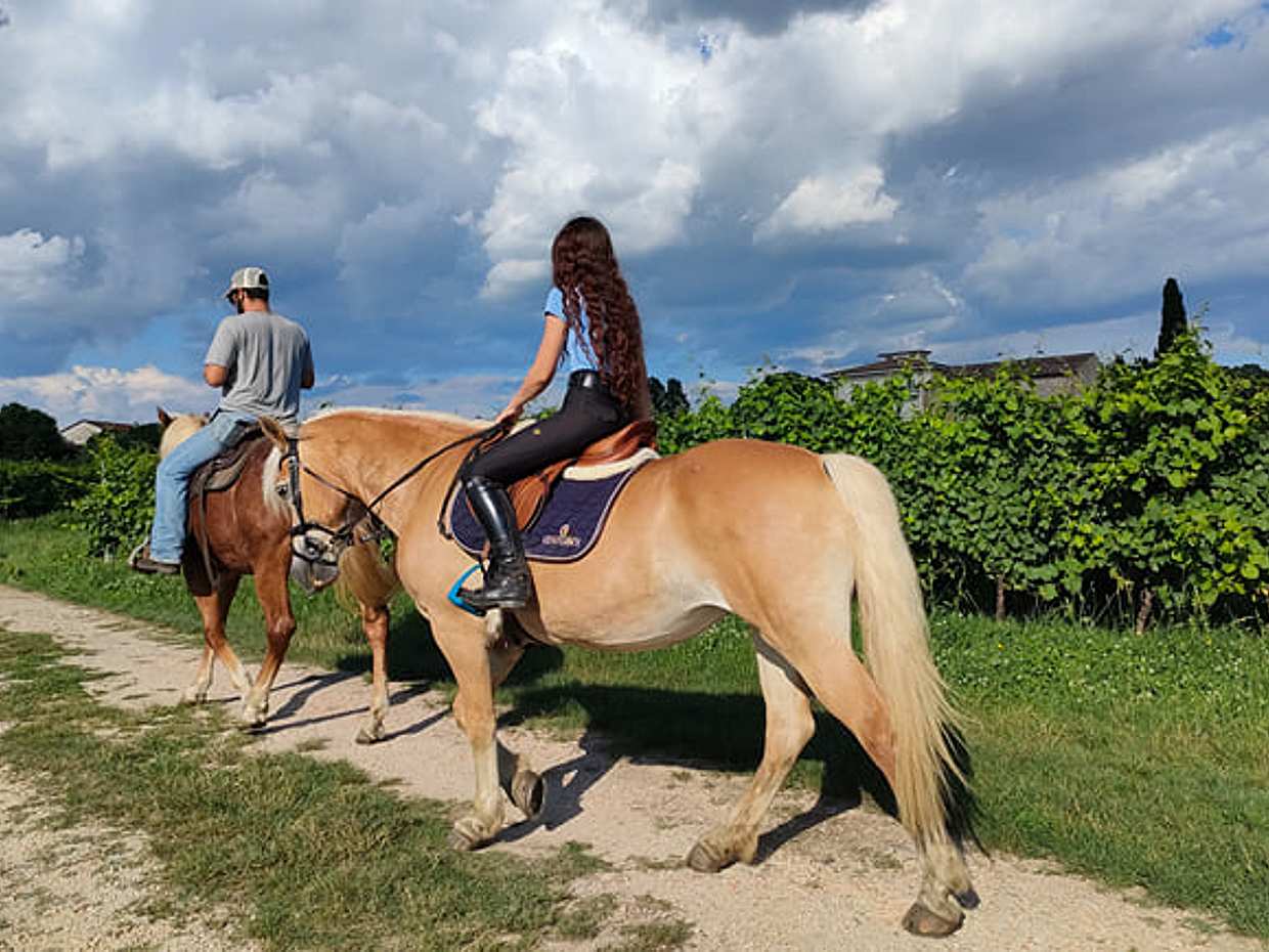 Horseback Riding with wine tasting in Lake Garda vineyards, photo 2