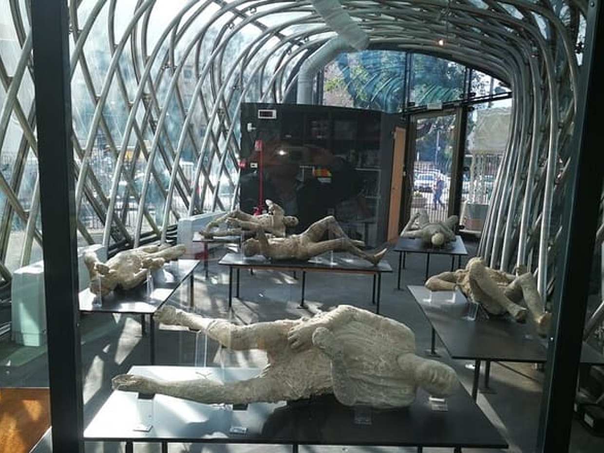 Visit Pompeii with an expert professional guide (2/3 hours), photo 5