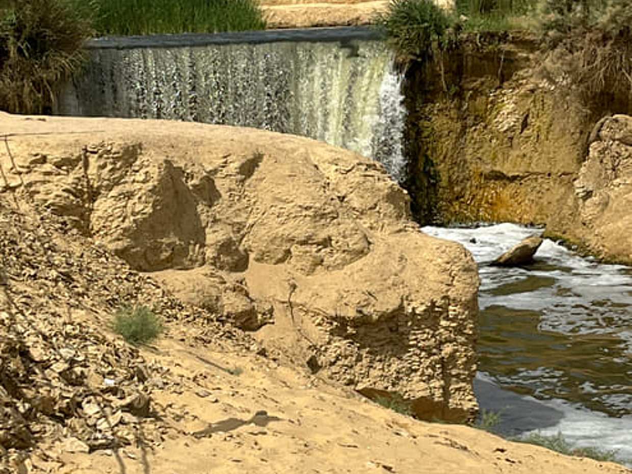 Full Day from Cairo to El Fayoum, Wadi El Rayan, Wadi El Hitan, photo 5